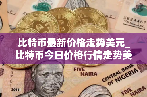 比特币最新价格走势美元_比特币今日价格行情走势美元