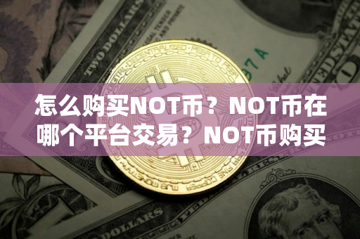 怎么购买NOT币？NOT币在哪个平台交易？NOT币购买交易教程