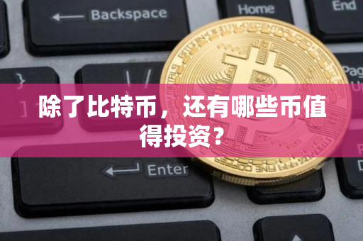 除了比特币，还有哪些币值得投资？
