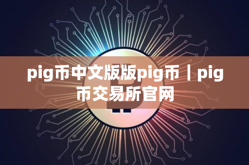 pig币中文版版pig币｜pig币交易所官网