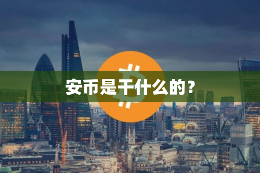 安币是干什么的？
