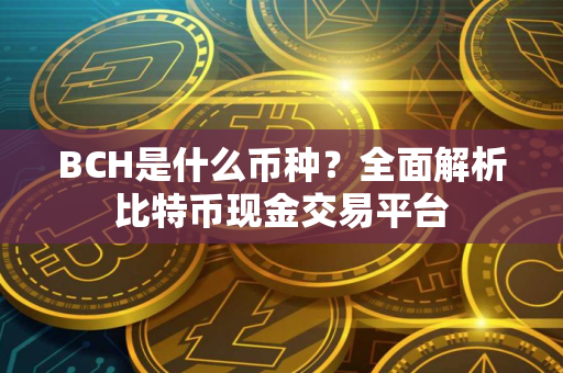 BCH是什么币种？全面解析比特币现金交易平台