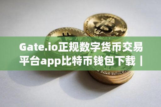 Gate.io正规数字货币交易平台app比特币钱包下载｜正规数字货币交易平台app手机端下载安卓版