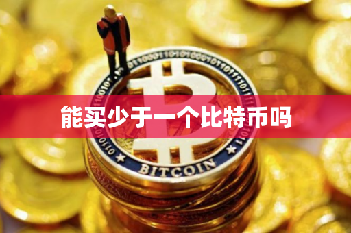 能买少于一个比特币吗