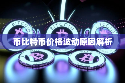 币比特币价格波动原因解析