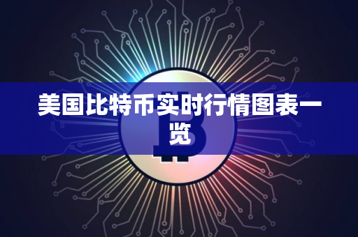 美国比特币实时行情图表一览