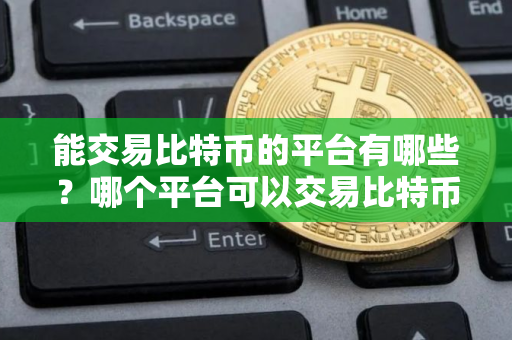能交易比特币的平台有哪些？哪个平台可以交易比特币？