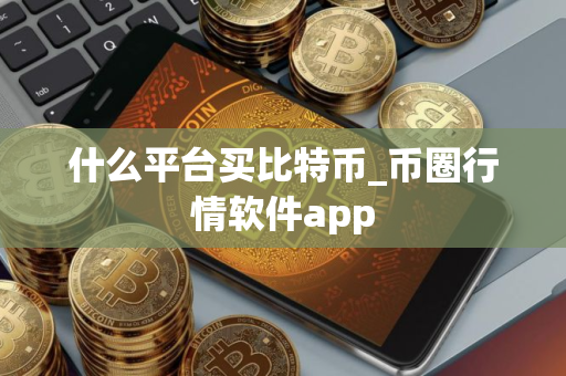 什么平台买比特币_币圈行情软件app
