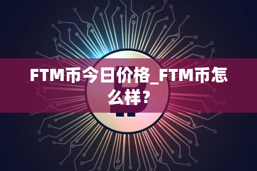 FTM币今日价格_FTM币怎么样？