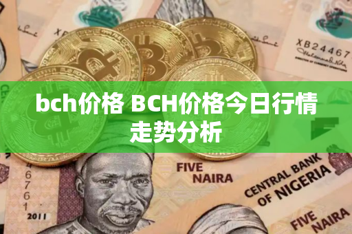 bch价格 BCH价格今日行情走势分析 bch价格 BCH价格今日行情走势分析