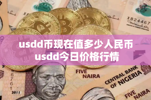 usdd币现在值多少人民币 usdd今日价格行情
