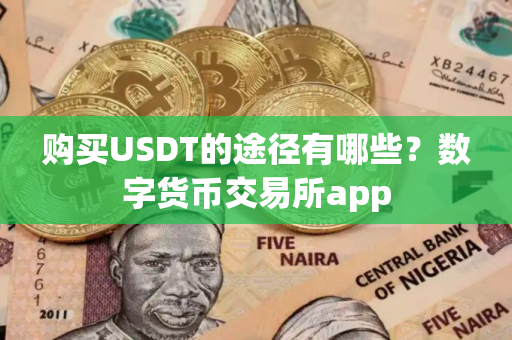 购买USDT的途径有哪些？数字货币交易所app