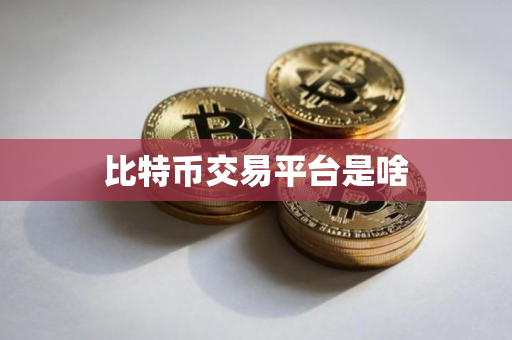 比特币交易平台是啥 比特币交易平台是啥