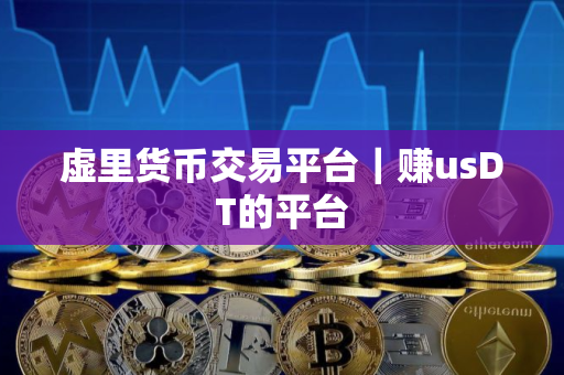 虚里货币交易平台｜赚usDT的平台