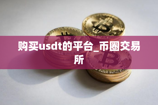 购买usdt的平台_币圈交易所
