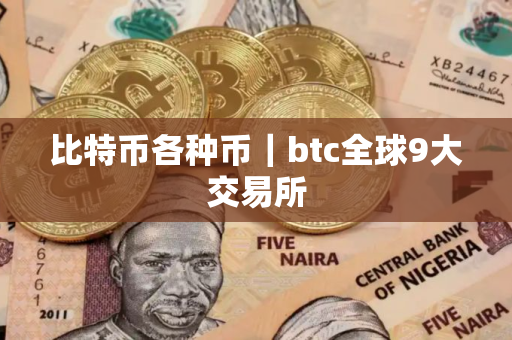 比特币各种币|btc全球9大交易所 比特币各种币|btc全球9大交易所