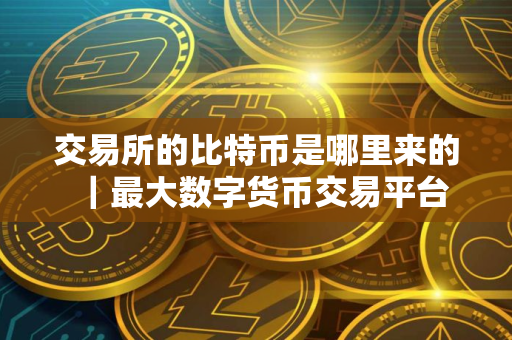 交易所的比特币是哪里来的｜最大数字货币交易平台