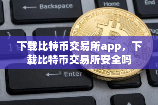 下载比特币交易所app，下载比特币交易所安全吗