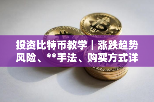 投资比特币教学｜涨跌趋势风险、**手法、购买方式详解