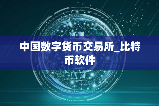 中国数字货币交易所_比特币软件