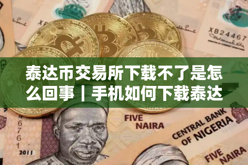 泰达币交易所下载不了是怎么回事｜手机如何下载泰达币交易中心