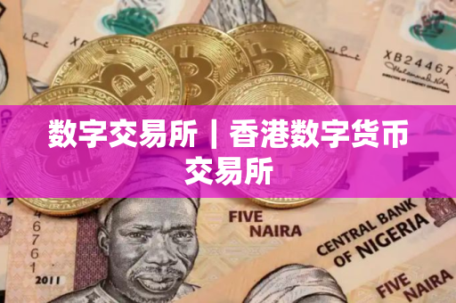 数字交易所｜香港数字货币交易所