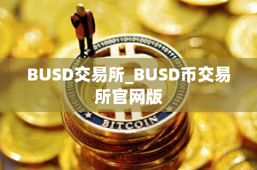 BUSD交易所_BUSD币交易所官网版