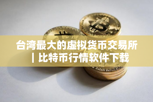 台湾最大的虚拟货币交易所｜比特币行情软件下载