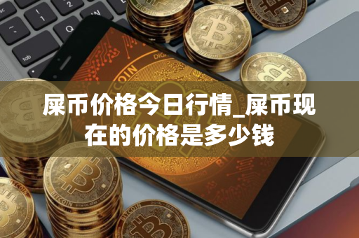 屎币价格今日行情_屎币现在的价格是多少钱