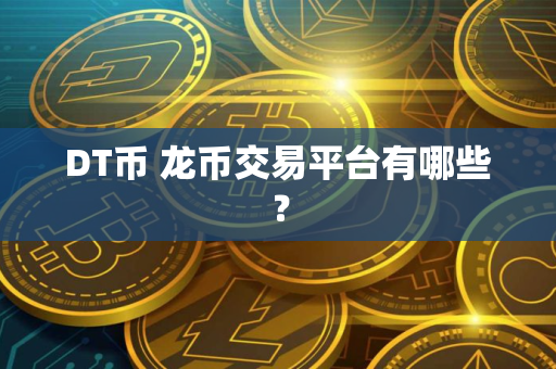 DT币 龙币交易平台有哪些？