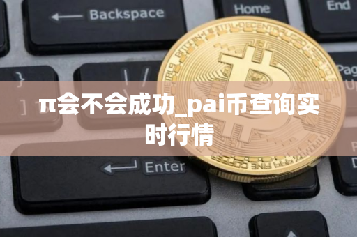 π会不会成功_pai币查询实时行情