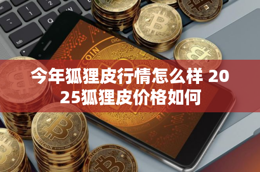 今年狐狸皮行情怎么样 2025狐狸皮价格如何