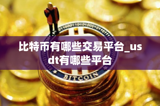 比特币有哪些交易平台_usdt有哪些平台