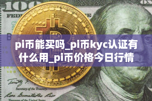 pi币能买吗_pi币kyc认证有什么用_pi币价格今日行情图