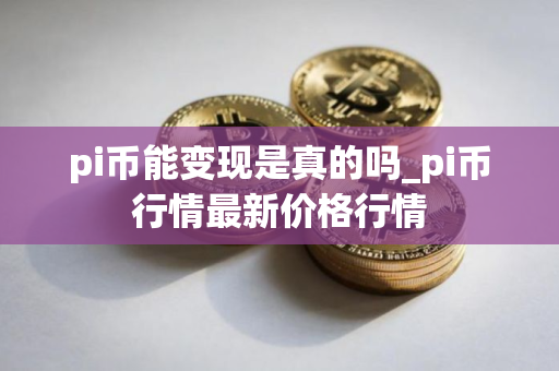 pi币能变现是真的吗_pi币行情最新价格行情