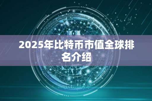 2025年比特币市值全球排名介绍