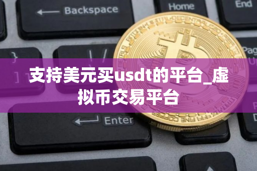 支持美元买usdt的平台_虚拟币交易平台