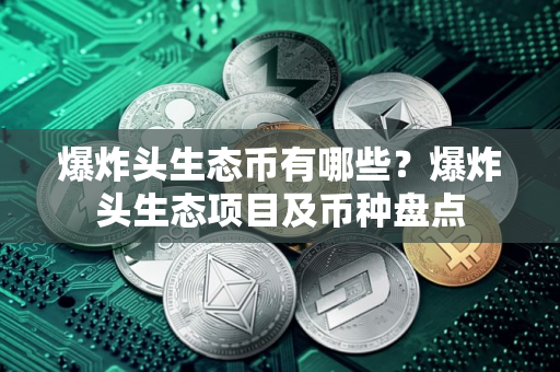 爆炸头生态币有哪些？爆炸头生态项目及币种盘点