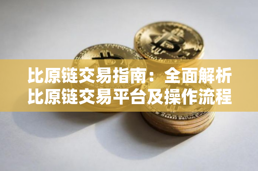 比原链交易指南：全面解析比原链交易平台及操作流程