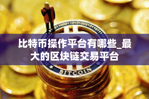 比特币操作平台有哪些_最大的区块链交易平台