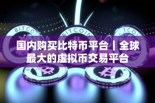 国内购买比特币平台｜全球最大的虚拟币交易平台
