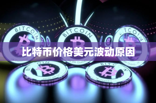 比特币价格美元波动原因