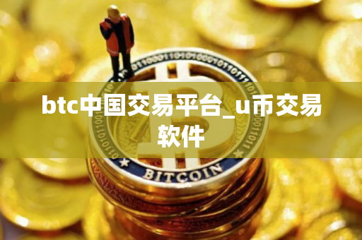 btc中国交易平台_u币交易软件
