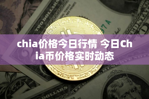 chia价格今日行情 今日Chia币价格实时动态
