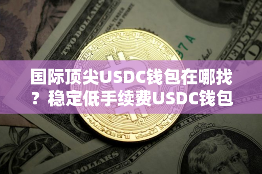 国际顶尖USDC钱包在哪找？稳定低手续费USDC钱包推荐