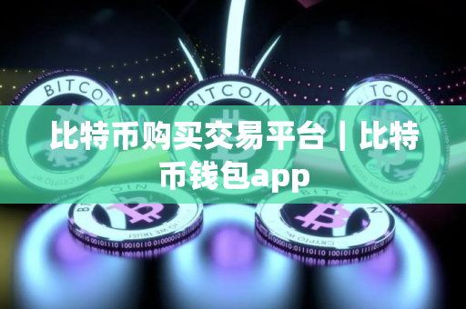 比特币购买交易平台｜比特币钱包app