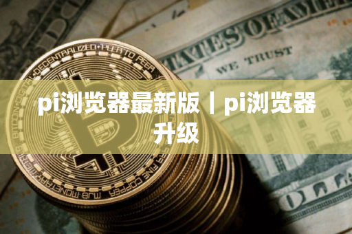 pi浏览器最新版｜pi浏览器升级