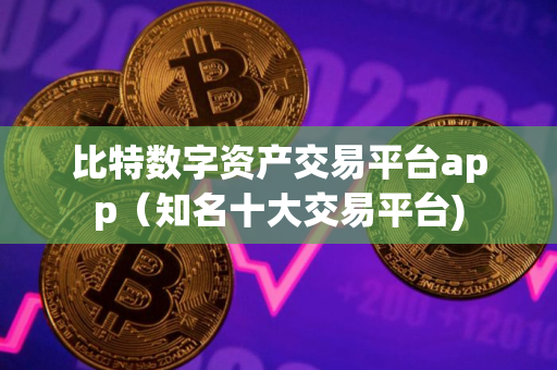 比特数字资产交易平台app（知名十大交易平台)