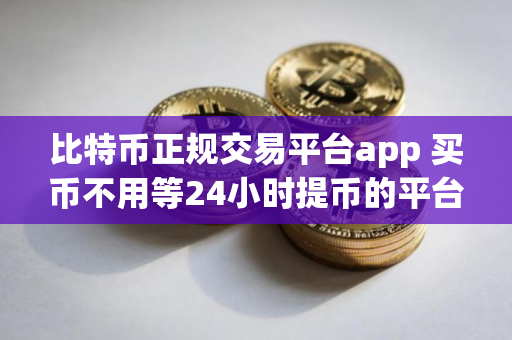 比特币正规交易平台app 买币不用等24小时提币的平台 比特币正规交易平台app 买币不用等24小时提币的平台