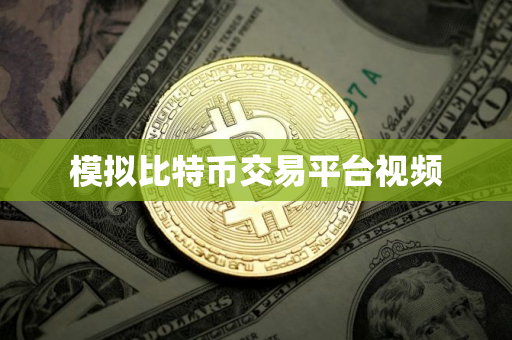 模拟比特币交易平台视频